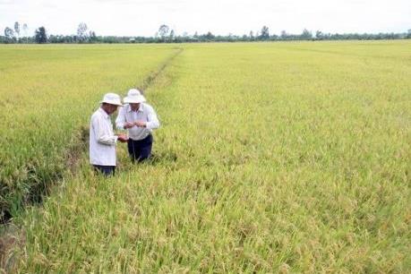 Hải Dương đầu tư trên 20 tỷ đồng làm thủy lợi vụ Đông Xuân