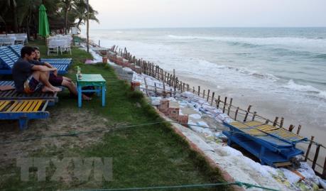 Thiết lập vành đai xanh ven biển trước làn sóng đô thị hóa