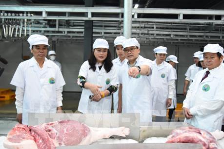 Kiểm tra sản xuất nông nghiệp sạch tại huyện Thanh Trì - Hà Nội