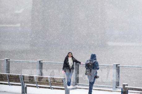 Mỹ: Bão tuyết khiến hơn 1.000 chuyến bay phải hủy bỏ