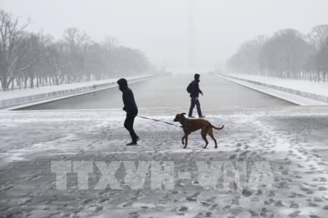 Nhiều bang của Mỹ tuyên bố thảm hoạ trước ảnh hưởng của "Bão bom" 