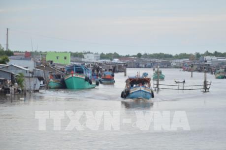 Đánh bắt hải sản của Bạc Liêu thu lãi cao 