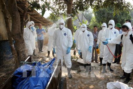 Đồng Nai hỗ trợ kinh phí tiêm vắc xin cho hơn 20.000 con lợn