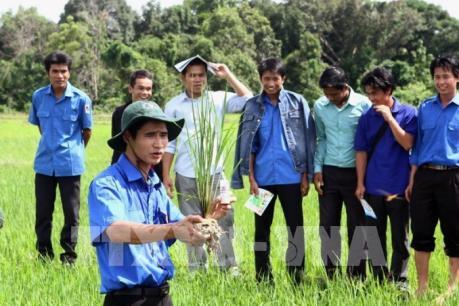 Không ngừng vun đắp quan hệ đặc biệt Việt Nam - Lào
