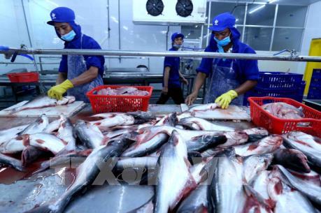 Mở thị trường xuất khẩu thủy sản - Bài 1: Lợi thế tăng trưởng từ hội nhập