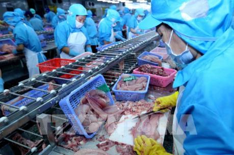 Mở thị trường xuất khẩu thủy sản - Bài 2: Thách thức không nhỏ