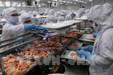 Mở thị trường xuất khẩu thủy sản - Bài cuối: Xây dựng thương hiệu