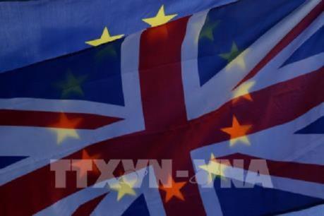 Ba bộ trưởng Anh sẽ ủng hộ hoãn Brexit nếu không đạt được thỏa thuận vào tuần tới​