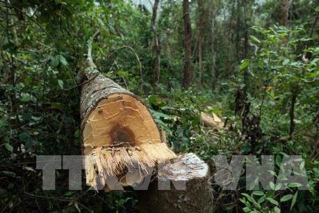 Gia Lai tập trung thanh tra những lĩnh vực dễ phát sinh tiêu cực mà dư luận quan tâm