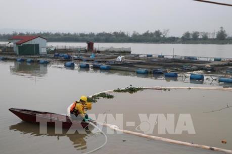 Gom được 85% lượng dầu tràn sau sự cố tràn dầu trên sông Kinh Thầy