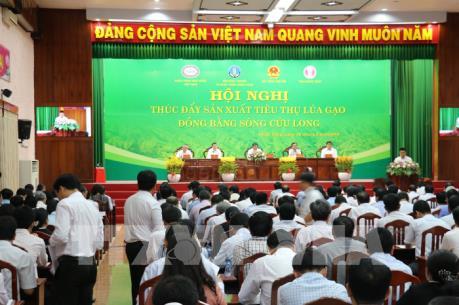 Ngân hàng dành gần 100.000 tỷ đồng cho thu mua tạm trữ lúa gạo Đông Xuân