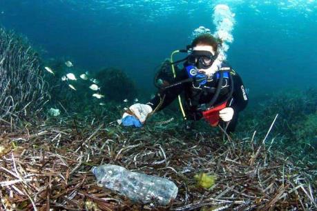Rác thải nhựa gây ô nhiễm cả những vùng biển sâu nhất