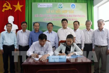 Hợp tác xuất khẩu xoài sang thị trường Hoa Kỳ