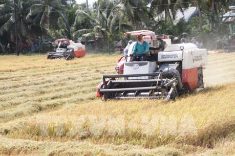 Giải quyết đầu ra cho lúa gạo vùng Đồng Tháp Mười (Bài 2)