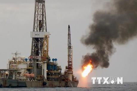 Giá dầu WTI tăng nhẹ phiên 28/2