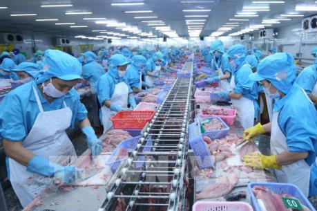 Bứt phá cho xuất khẩu cá tra - Bài cuối: Để chinh phục thị trường khó tính ?