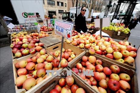 Mỹ tố cáo "chiến dịch bôi nhọ" hàng nông sản Mỹ tại Anh