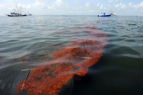 Australia mở chiến dịch kiểm soát thảm họa dầu tràn