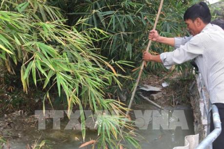 Doanh nghiệp bơm rửa cát gây tắc nghẽn dòng suối