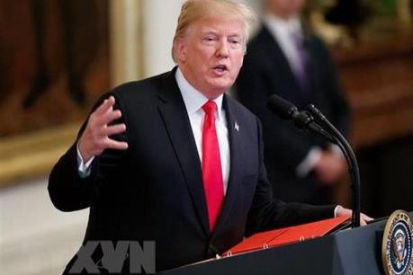 Mỹ: Giới nghị sĩ Dân chủ tại Hạ viện thúc đẩy điều tra Tổng thống Trump