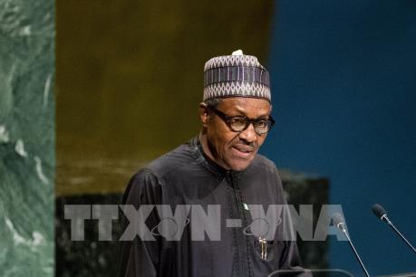 Nhu cầu phát triển của châu Phi trong thời đại số