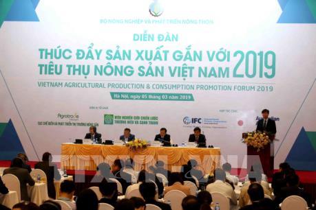 Nông sản Việt ưu tiên mặt hàng, thị trường nào?