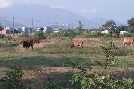 Thận trọng với đất “bong bóng” ở Hòa Vang (Đà Nẵng)