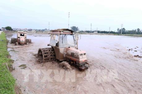 Xả 4,42 tỷ m3 nước gieo cấy vụ Đông Xuân