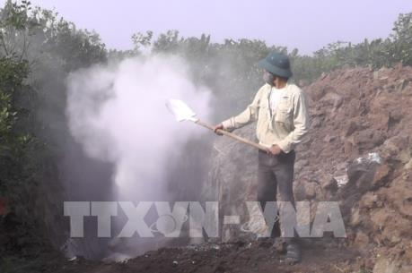 Dịch tả lợn châu Phi: Miễn giảm lãi vay cho khách hàng bị thiệt hại