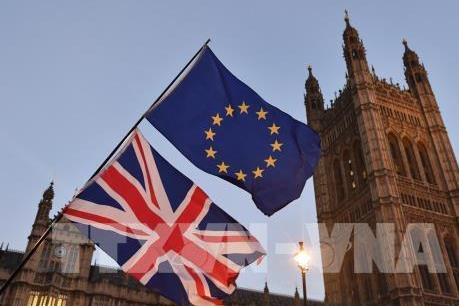 Chính phủ Anh khẳng định vẫn bỏ phiếu về Brexit lần 2 đúng hạn