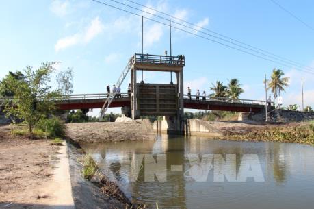 Hậu Giang đầu tư trên 67 tỷ đồng nâng cấp đập và cống ngăn mặn