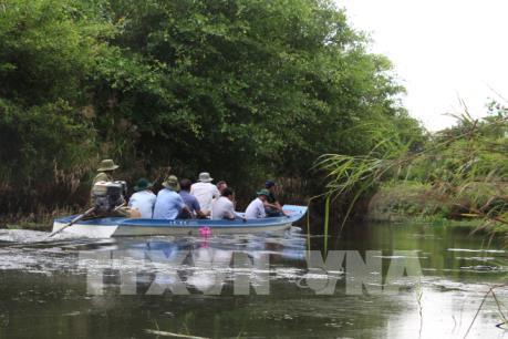 Hậu Giang nâng cấp cảnh báo cháy rừng