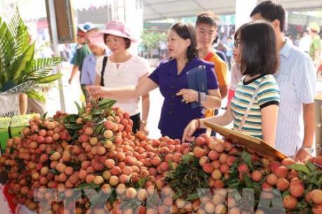 Điều kiện để vải thiều Lục Ngạn vào thị trường Nhật Bản 