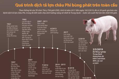 Quá trình dịch tả lợn châu Phi bùng phát trên toàn cầu