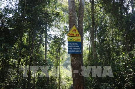 Bộ trưởng Nguyễn Xuân Cường:  Nếu quản lý tốt, rừng chính là lợi thế của Việt Nam