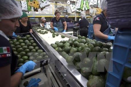 Tỷ lệ lạm phát của Mexico giảm lần đầu tiên trong vòng 10 năm