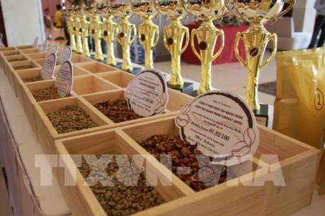 Công nhận 25 mẫu cà phê đạt tiêu chuẩn cà phê đặc sản