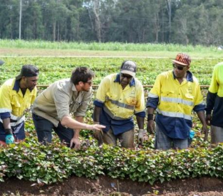 Australia nới lỏng quy định cấp thị thực với một số nghề