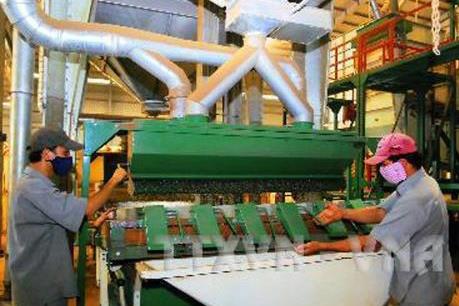 Định hướng chế biến sâu cà phê