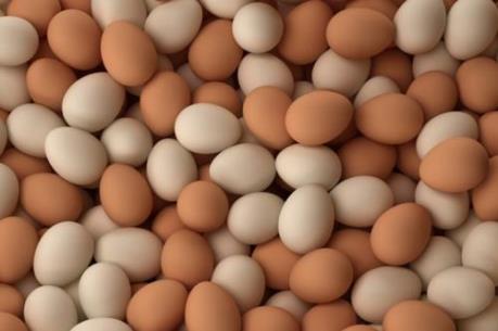 Công bố hạn ngạch nhập khẩu trứng gia cầm và muối năm 2019