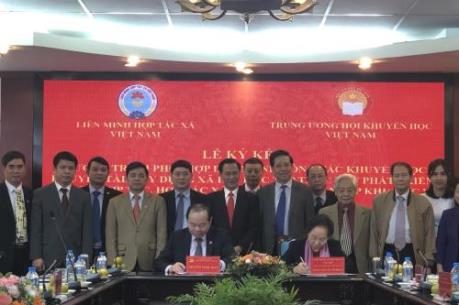 Động lực khuyến tài cho khu vực hợp tác xã