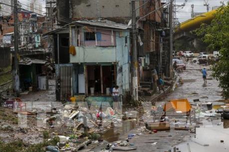 Brazil: Mưa lũ nghiêm trọng tại Sao Paulo làm nhiều người thiệt mạng