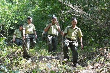 Đồng Tháp kiểm soát, chống xâm nhập rừng trái phép ​