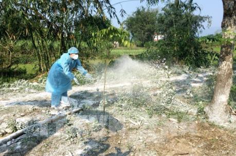 Quảng Ninh lập chốt liên huyện kiểm soát dịch tả lợn châu Phi