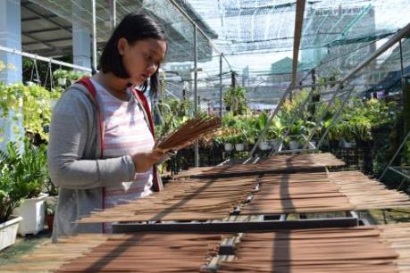 Khởi nghiệp ở vùng đất sen hồng