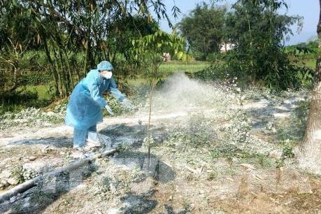 Lập nhiều chốt kiểm dịch ngăn chặn, phòng chống dịch tả lợn châu Phi