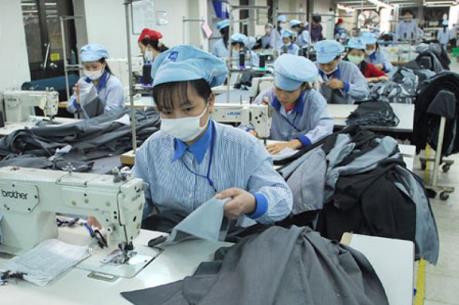 May Việt Tiến trả cổ tức 35%