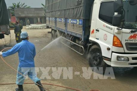 Vẫn phải cho lưu thông lợn không có chứng nhận âm tính dịch tả lợn châu Phi