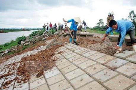 Hà Nội đầu tư gần 500 tỷ đồng khắc phục các sự cố đê điều