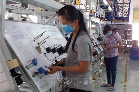 Hàn Quốc dẫn đầu về đầu tư nước ngoài tại tỉnh Bà Rịa - Vũng Tàu